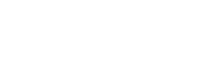 Rönesans Gümrük
